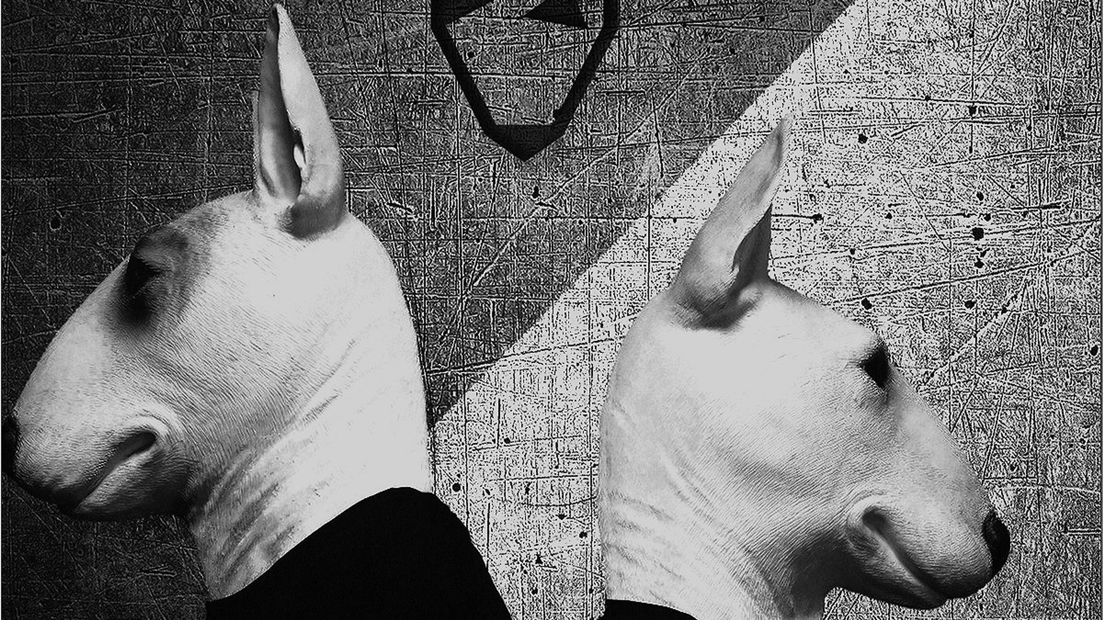 Latest Release With The Neverdogs